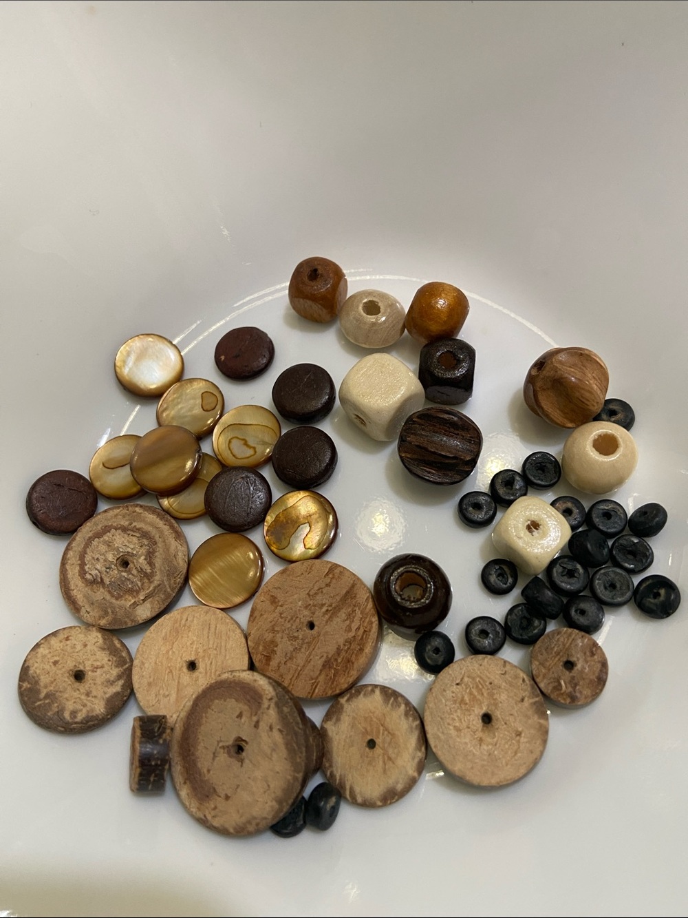 Mixed Wood and Shell Bead Lot - Natural Brown, Cream, Black